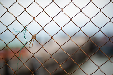 metal chain fence