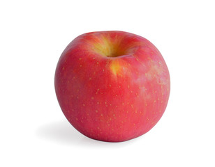 Fresh apple on white background