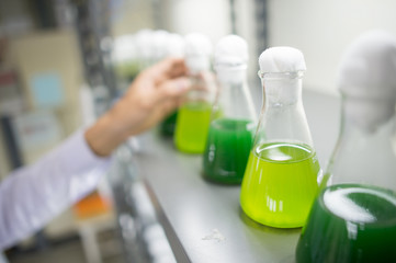 glasses, bottles in laboratory