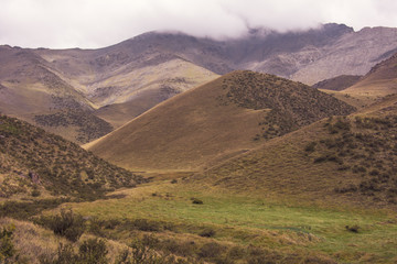 Precordillera