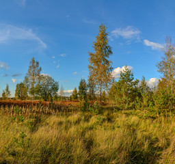 Sunny autumn evening in the country.Shadows from the setting sun.