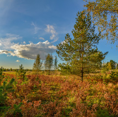 Sunny autumn evening in the country.Shadows from the setting sun.