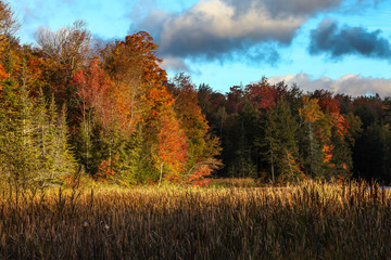 Autumn colors from Vermont