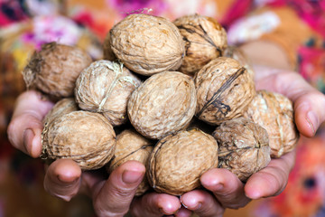 pile of walnuts