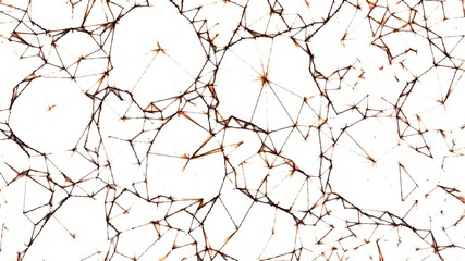  Polygon Geometric triangle design background