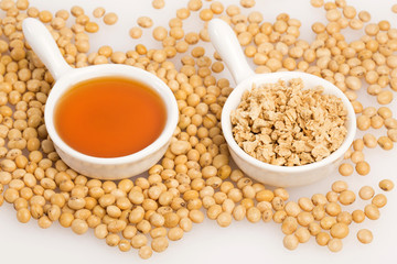 Oil and soybeans - Glycine max. Text space