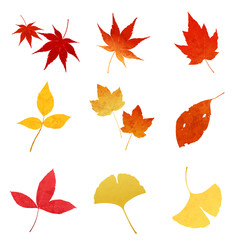 紅葉シーズン１