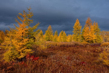 Russia. Magadan. The amazing beauty of the autumn of the Far East