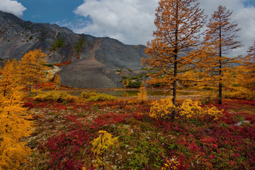 Russia. Magadan. The amazing beauty of the autumn of the Far East