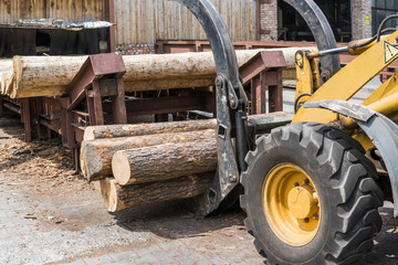 Forklift truck grabs wood in a wood processing plant. Large log loader unloading a log truck in the log yard at a conifer log mill. Processing of timber at the sawmill.