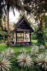 Thai pavilion in lush tropical garden with coconut tree green agave