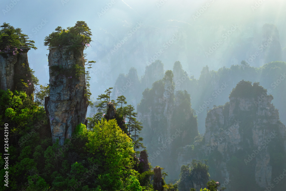 Wall mural zhangjiajie mountains, china