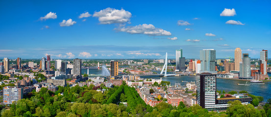 Vue sur la ville de Rotterdam et le pont Erasmus
