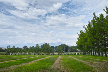 Obraz premium 茨城農場長野支場