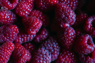 fresh bio blackberry, blueberry