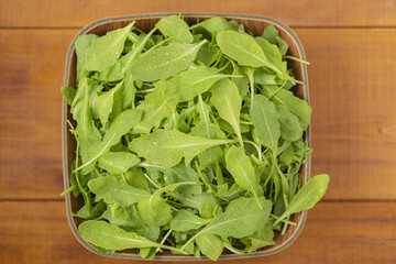 Fresh arugula salad in a bowl, on a wooden background.