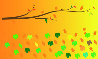 Autumn Wallpaper 