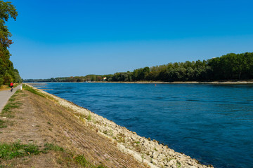 Obraz premium luck over the rhine on a late summer day