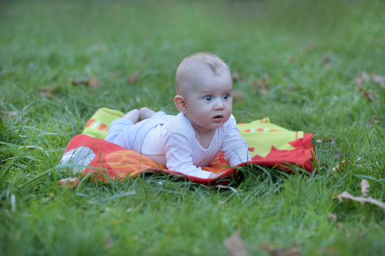 Bebe Garcon Blond Aux Yeux Bleus Decouvre La Nature Stock Photo Adobe Stock