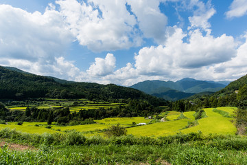 日本の田舎　田園風景