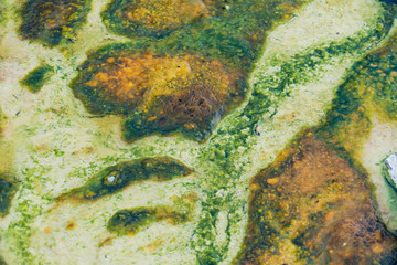Close up photo showing texture and natural colors of a geyser thermal feature in Yellowstone National Park's West Thumb Geyser Basin