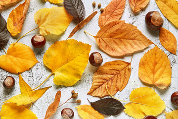 Fototapeta na wymiar Autumn leaves on a stone background. Full frame of seasonal natural pattern viewed from above. Top view