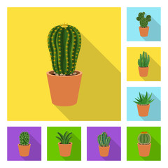 Vector design of cactus and pot icon. Collection of cactus and cacti stock vector illustration.