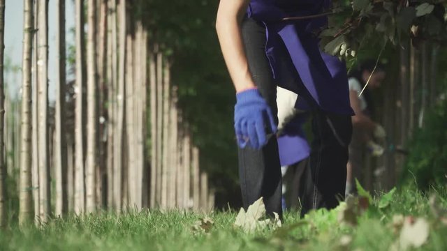 People pick up cutted branches in the garden