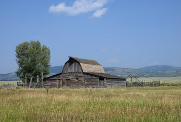 Obraz premium historic rustic wooden barn at Mormon Row Historic District, Grand Teton National Park, WY, USA