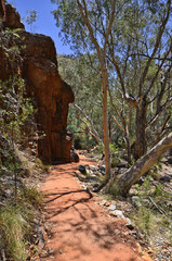 Fototapeta premium Australia, Northern Territory, McDonnell Range