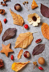 Autumn leaves on a stone background. Full frame of seasonal natural pattern viewed from above. Top view