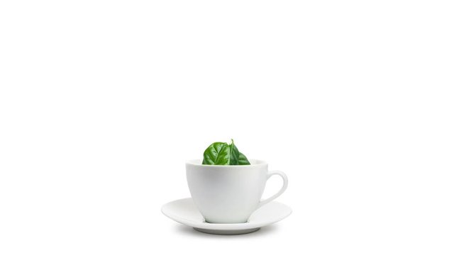 Animated image, tea leaves falling into cup of tea on white background