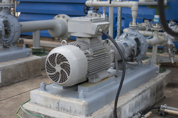 Induction motor with centrifugal pump