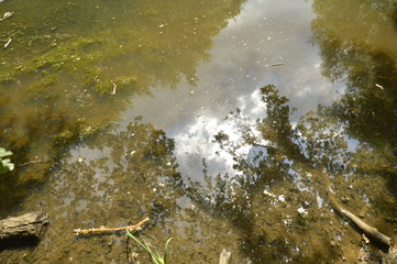 Waters Edge Shallow Lake Bed Reflections