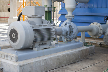 Induction motor with centrifugal pump