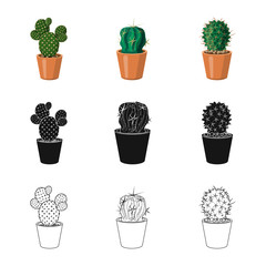 Vector design of cactus and pot logo. Collection of cactus and cacti stock vector illustration.