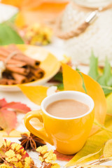 Autumn banner with cup of coffee with cinnamon on white wooden background with colorful tree leaves.