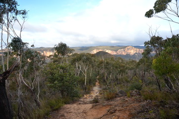 Walking track at Mount Banks in the Blue Mountains of Australia.