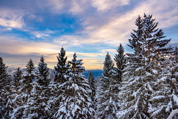 Eastern Alps Brenta Dolomites