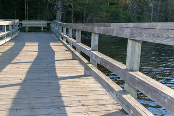 wooden bridge in the forest near lake