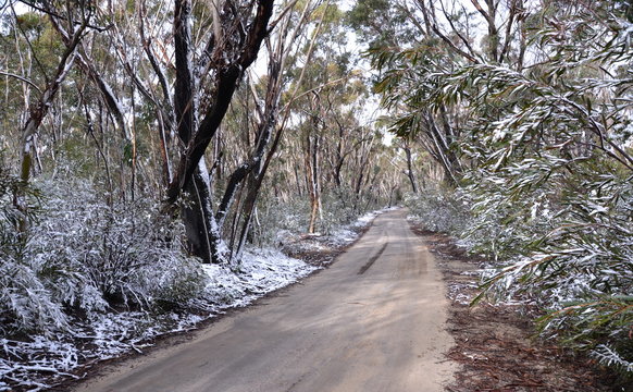 Snow collected on the side of the track leading up to Lithgow Hassans Wall lookout in New South Wales Australia