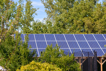 Solar panels in the yard of a suburban house