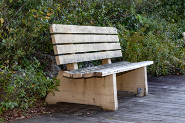 Closeup bench wooden boardwalk, trees in background, quiet, isolated, lakeside.