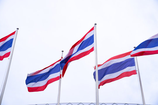Many Thailand flags with blue sky background.