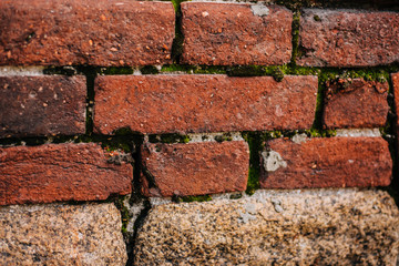 Old red brick overgrown with moss. Wall texture