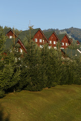 Fototapeta na wymiar Modern wooden houses in a mountainous area