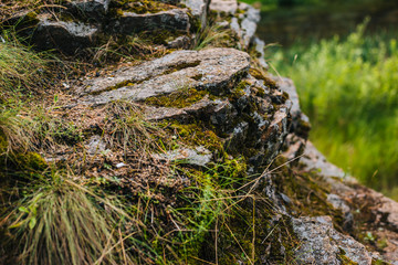 Stone with moss. Rock in the forest. Texture