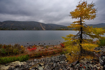 Russia. Magadan. The amazing beauty of the autumn of the Far East. The lake Maxi