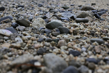 Textura de rocas en la playa