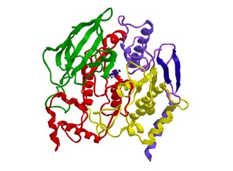 Molecular structure of Acetylcholinesterase, 3D rendering
